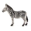 Mojo Zebra