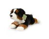 Rappa Plyšový bernský salašnický pes ležící 30 cm ECO-FRIENDLY