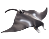 Mojo Rejnok manta