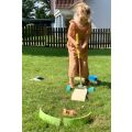 small foot Minigolf set Active