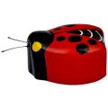 2Kids Toys Dřevěná magnetka velká Beruška - II. jakost