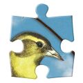 Galison Oboustranné puzzle Ptačí symfonie 250 dílků