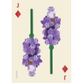 Chronicle Books LEGO® Sada botanických hracích karet