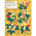 Chronicle Books Kniha aktivit se samolepkami my nature V zeleninové zahradě