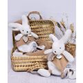 Doudou Dárková sada - Plyšový králíček s muchláčkem 25 cm béžová