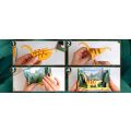 EscapeWelt 3D dřevěné puzzle Brontosaurus