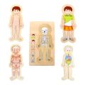 small foot Dřevěné hračky puzzle anatomie Tim