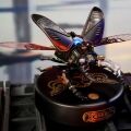 RoboTime 3D mechanická skládačka Roháč obecný