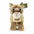 Rappa Plyšová puma 28 cm ECO-FRIENDLY