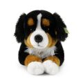 Rappa Plyšový Bernský salašnický pes ležící 61 cm ECO-FRIENDLY