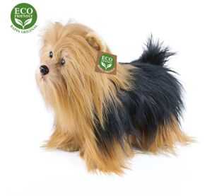 Rappa Plyšový jorkšír stojící 30 cm ECO-FRIENDLY