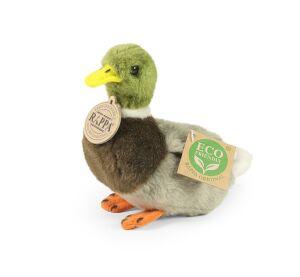 Rappa Plyšová kachna divoká 13 cm ECO-FRIENDLY