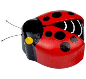 2Kids Toys Dřevěná magnetka velká Beruška