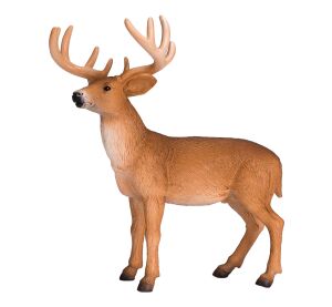 Mojo Jelenec běloocasý