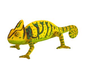 Mojo Chameleon