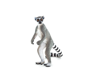 Mojo Lemur kata