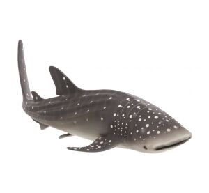 Mojo Žralok obrovský