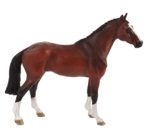 Mojo Holandský teplokrevník