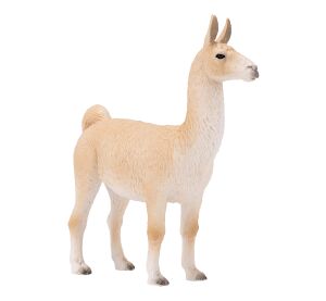 Mojo Lama