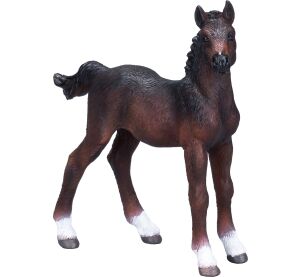 Mojo Hannoverské hříbě hnědé