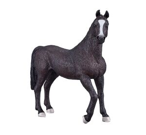 Mojo Arabský hřebec černý