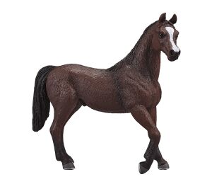 Mojo Arabský hřebec kaštan