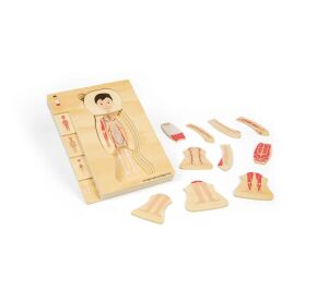Bigjigs Toys Dřevěné puzzle Anatomie chlapec