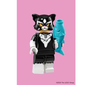 Chronicle Books LEGO® Minifigurky 100 ks pohlednic