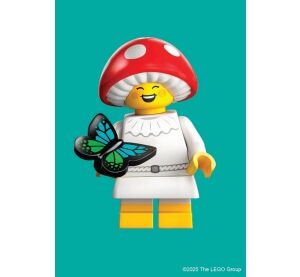 Chronicle Books LEGO® Minifigurky 100 ks pohlednic