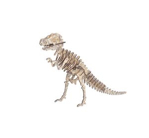 Woodcraft Dřevěné 3D puzzle Tyrannousaurus