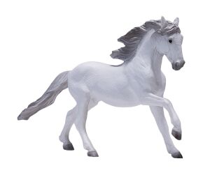 Mojo Lusitánský kůň bílý