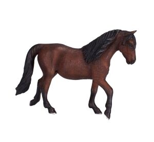 Mojo Kůň morgan hnědý