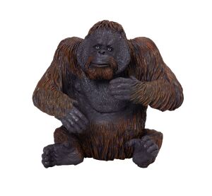 Mojo Orangutan