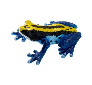 Mojo Pralesnička barvířská