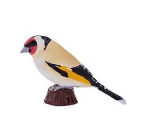 Mojo Stehlík obecný