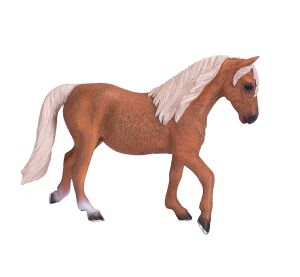 Mojo Kůň morgan palomino