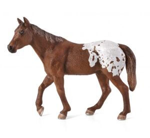 Mojo Appaloosa hřebec blanket