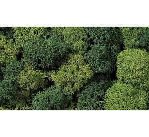 Noch Dekorační mech světle a tmavě zelený