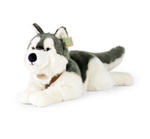 Rappa Plyšový pes husky s obojkem ležící 60 cm ECO-FRIENDLY