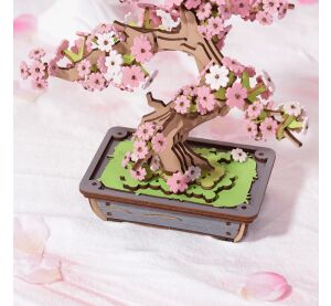 RoboTime 3D dřevěná skládačka Bonsaj sakura