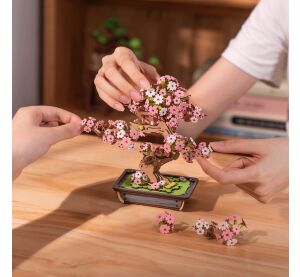 RoboTime 3D dřevěná skládačka Bonsaj sakura