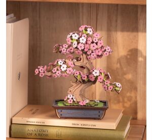 RoboTime 3D dřevěná skládačka Bonsaj sakura
