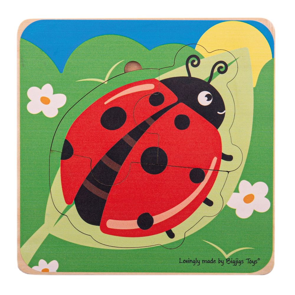 Levně Bigjigs Toys Vkládací puzzle životní cykly berušky