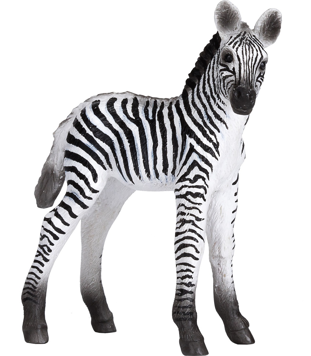 Levně Mojo Zebra mládě