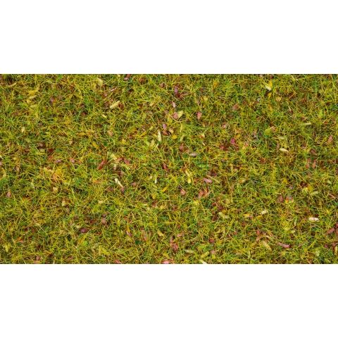 Noch Statická tráva Kvetoucí louka 2,5 mm