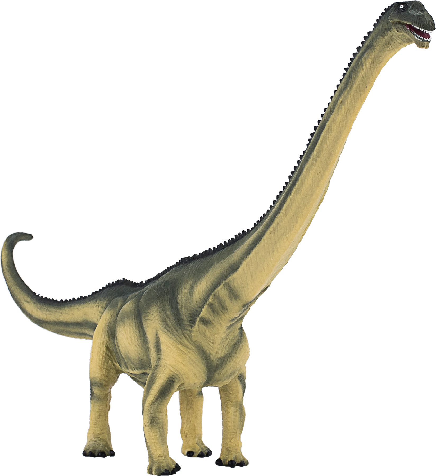 Levně Mojo Mamenchisaurus deluxe