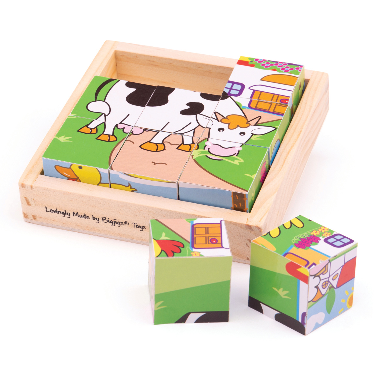 Levně Bigjigs Toys Obrázkové kostky kubusy Zvířátka 9 kostek