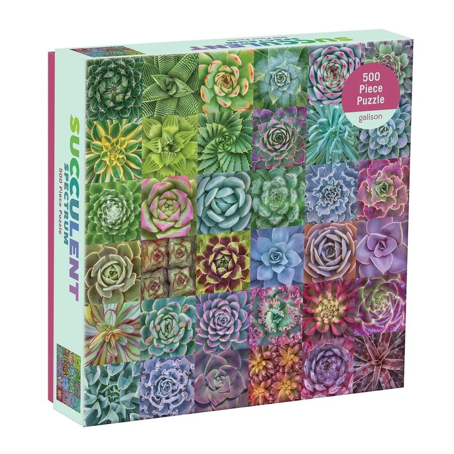 Levně Galison Puzzle Barevné sukulenty 500 dílků