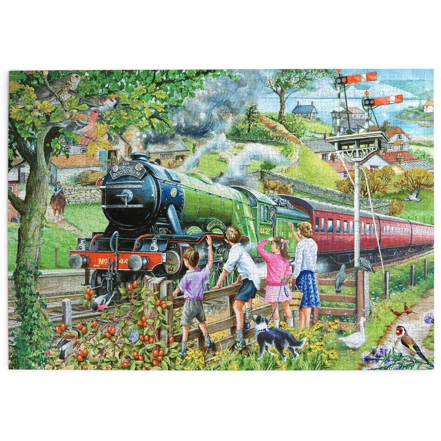 HOP Puzzle Plnou parou vpřed 1000 dílků