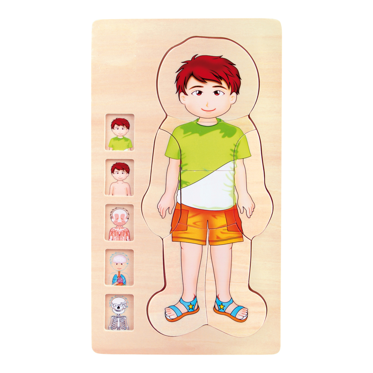 Levně small foot Dřevěné hračky puzzle anatomie Tim
